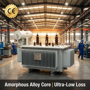 Amorphous Alloy Core Oil Immersed Power Transformer SH15 Series Switchgear Cabinet