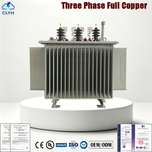 Distribution Transformer 100kVA 10/0.4kV Three Phase